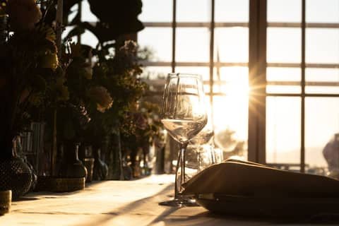 Sunčano osvijetljen stol s čašama za vino i zelenilom