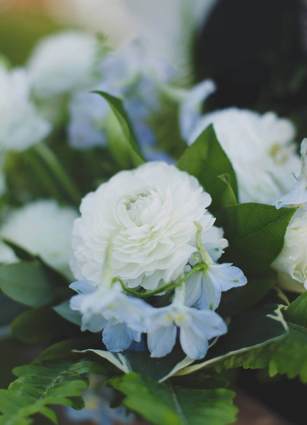 florist-21